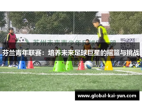 芬兰青年联赛:培养未来足球巨星的摇篮与挑战 芬兰青年联赛:培养未来足球巨星的摇篮与挑战