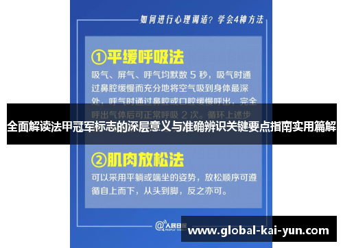 全面解读法甲冠军标志的深层意义与准确辨识关键要点指南实用篇解 全面解读法甲冠军标志的深层意义与准确辨识关键要点指南实用篇解